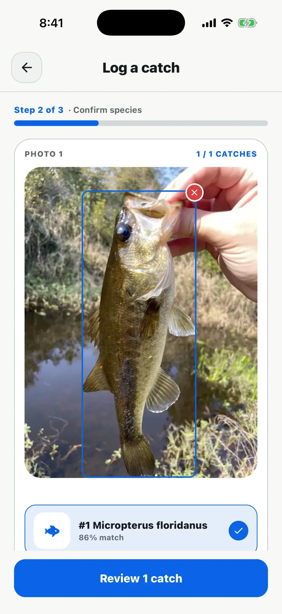 Tacklbox log-a-catch screen identifying a Florida bass (Micropterus floridanus) at 86% match