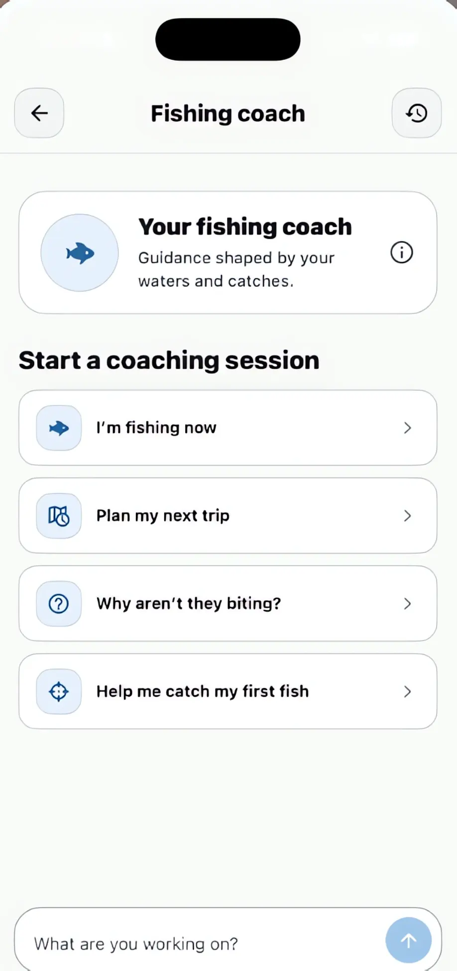 Tacklbox AI fishing coach, ready to start a coaching session